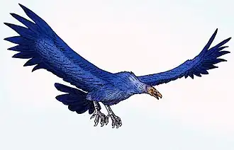 Argentavis