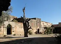 photographie couleurs : un bâtiment avec un arbre mort devant