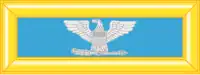 Colonel