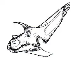 Dessin de profil de la tête d'Arrhinoceratops.
