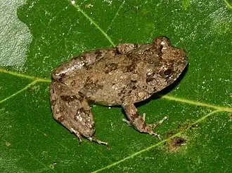 Description de cette image, également commentée ci-après