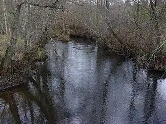 Rivière à 3&nbsp;km de Arzúa.