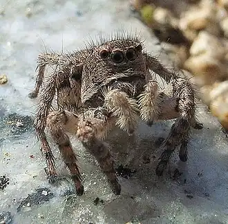 Description de cette image, également commentée ci-après