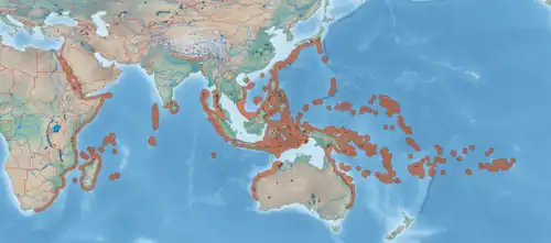 Aire de répartition d’Aspidontus dussumieri selon l'UICN (2025).