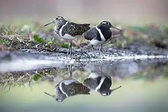 Description de cette image, également commentée ci-après