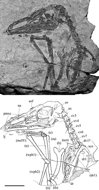Description de cette image, également commentée ci-après