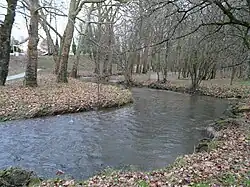 L'Auzette dans le parc.