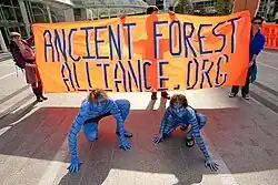 Deux personnes entièrement peintes en bleu sont accroupies devant un panneau orange avec portant l’inscription « Ancient Forest Alliance ».