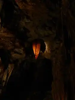 « La Langue de dragon ».