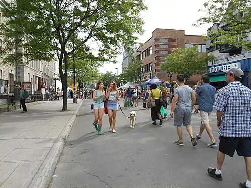 Description de l'image Avenue du Mont-Royal 23.JPG.