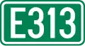 E313