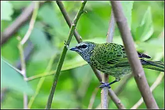 Description de cette image, également commentée ci-après