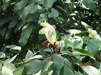Description de cette image, également commentée ci-après