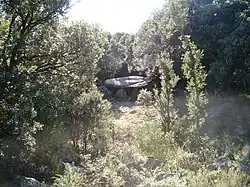 Le dolmen dans son environnement.