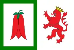 Drapeau de Araucoville et commune du Chili