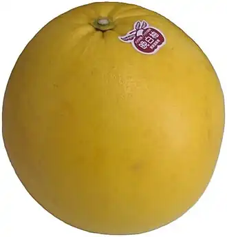 Description de l'image Banpeiyu pomelo.jpg.