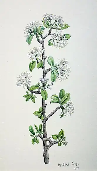 Description de cette image, également commentée ci-après