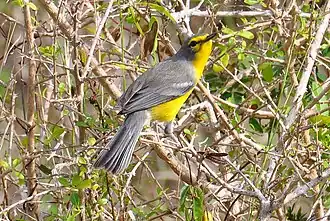 Description de cette image, également commentée ci-après