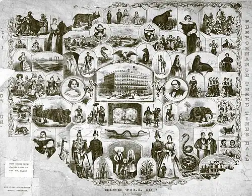 Affiche détaillant les offres du musée.