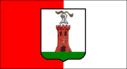 Drapeau de Baronissi