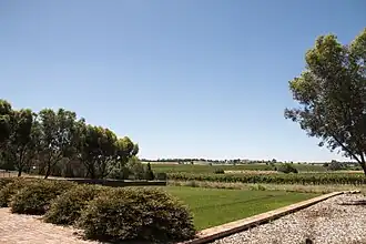 Vue de la winery Torbreck.