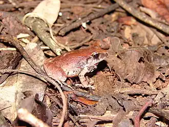 Description de cette image, également commentée ci-après