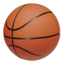 Basket-ball