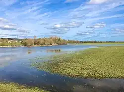 Basses Vallées Angevines - Vue du Loir