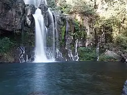 Bassin des Aigrettes de la Réunion