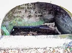 Bassin de la source de la comtesse.