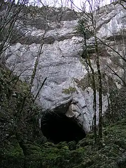 Entrée de la baume Archée.