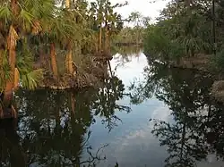 Bayou de la métairie