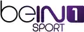 Logo de beIN Sport 1 du 1er juin 2012 au 1er janvier 2014.