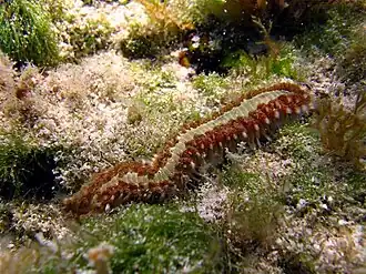 Description de cette image, également commentée ci-après