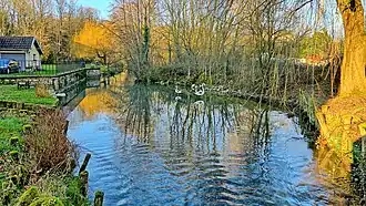 La source de la Doing.