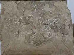 Détail sculpté avec une guirlande et une pomme de pin