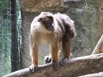 Description de cette image, également commentée ci-après