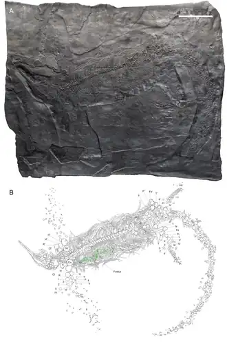 Description de cette image, également commentée ci-après