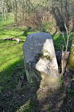 Image illustrative de l’article Menhir de Tréveron
