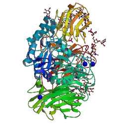 Image illustrative de l’article Bêta-galactosidase