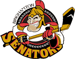 Description de l'image Binghamton Senators.gif.