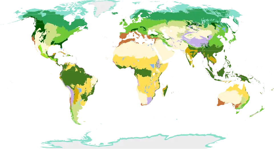 Classification du WWF, différenciant 14 biomes terrestres (deux pour la France).