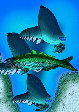 Description de cette image, également commentée ci-après