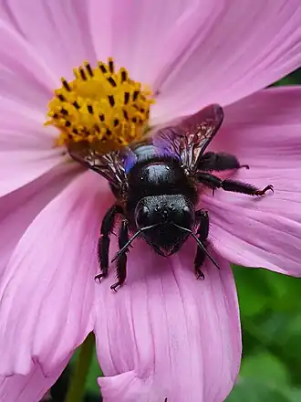 Description de cette image, également commentée ci-après
