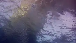 L'Arche d'Azur sous la surface