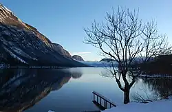 Lac de Bohinj.