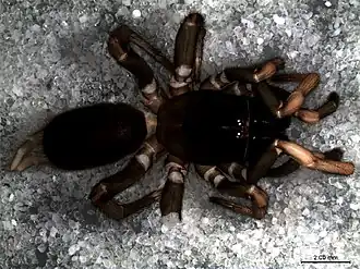 Description de cette image, également commentée ci-après