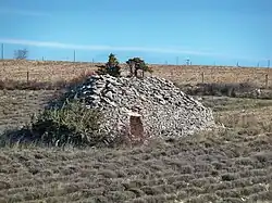 Borie dans un champ de lavande.