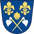 Blason de Borovy