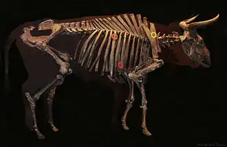 Description de cette image, également commentée ci-après